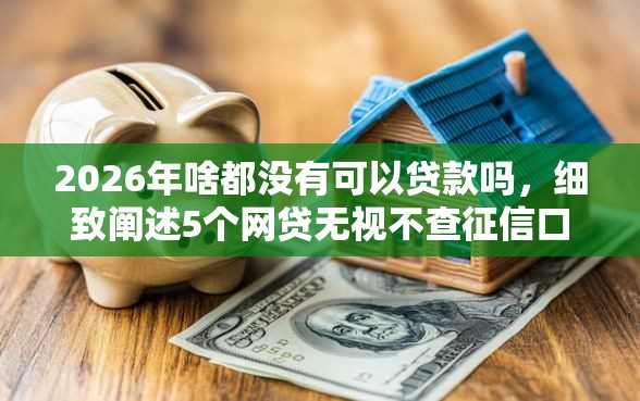 2026年啥都没有可以贷款吗，细致阐述5个网贷无视不查征信口子