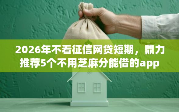 2026年不看征信网贷短期，鼎力推荐5个不用芝麻分能借的app