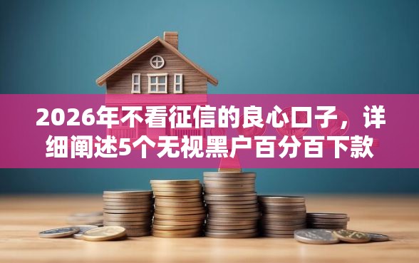 2026年不看征信的良心口子，详细阐述5个无视黑户百分百下款口子