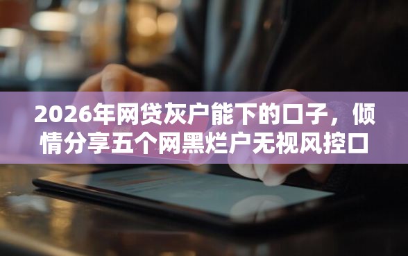 2026年网贷灰户能下的口子，倾情分享五个网黑烂户无视风控口子