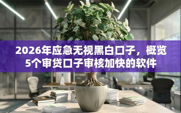 2026年应急无视黑白口子，概览5个审贷口子审核加快的软件