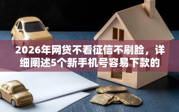 2026年网贷不看征信不刷脸，详细阐述5个新手机号容易下款的软件