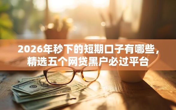 2026年秒下的短期口子有哪些，精选五个网贷黑户必过平台