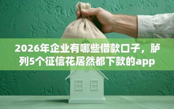 2026年企业有哪些借款口子，胪列5个征信花居然都下款的app