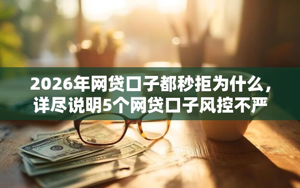 2026年网贷口子都秒拒为什么，详尽说明5个网贷口子风控不严的口子