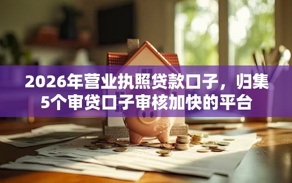 2026年营业执照贷款口子，归集5个审贷口子审核加快的平台