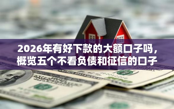 2026年有好下款的大额口子吗，概览五个不看负债和征信的口子