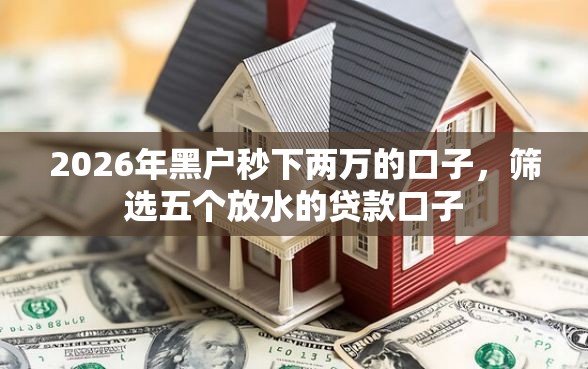 2026年黑户秒下两万的口子，筛选五个放水的贷款口子