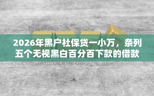 2026年黑户社保贷一小万，条列五个无视黑白百分百下款的借款平台