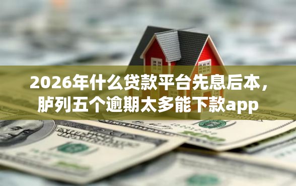 2026年什么贷款平台先息后本，胪列五个逾期太多能下款app