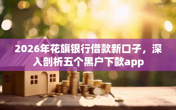 2026年花旗银行借款新口子，深入剖析五个黑户下款app