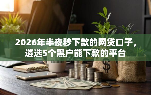 2026年半夜秒下款的网贷口子，遴选5个黑户能下款的平台