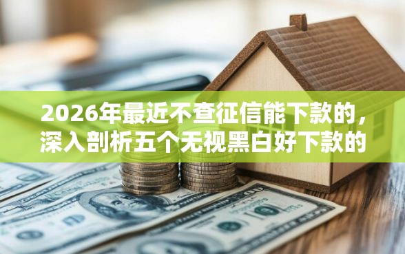2026年最近不查征信能下款的，深入剖析五个无视黑白好下款的软件