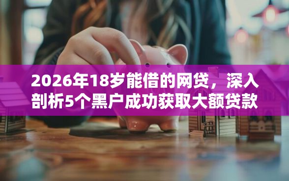 2026年18岁能借的网贷，深入剖析5个黑户成功获取大额贷款的软件