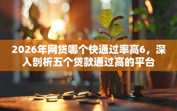 2026年网贷哪个快通过率高6，深入剖析五个贷款通过高的平台