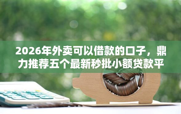 2026年外卖可以借款的口子，鼎力推荐五个最新秒批小额贷款平台