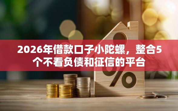 2026年借款口子小陀螺，整合5个不看负债和征信的平台