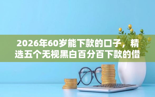 2026年60岁能下款的口子，精选五个无视黑白百分百下款的借款平台