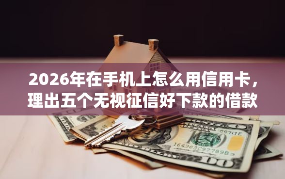 2026年在手机上怎么用信用卡，理出五个无视征信好下款的借款app