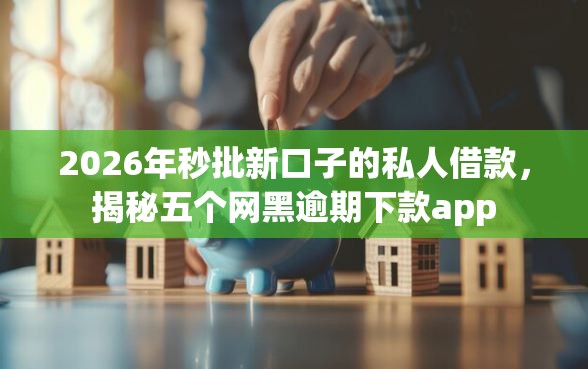2026年秒批新口子的私人借款，揭秘五个网黑逾期下款app