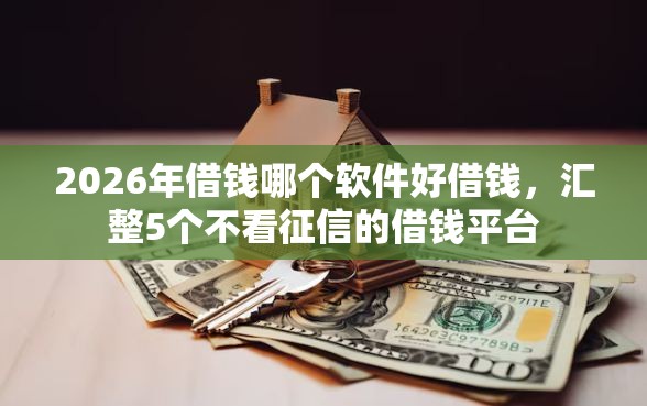 2026年借钱哪个软件好借钱，汇整5个不看征信的借钱平台