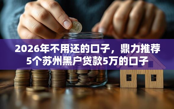 2026年不用还的口子，鼎力推荐5个苏州黑户贷款5万的口子