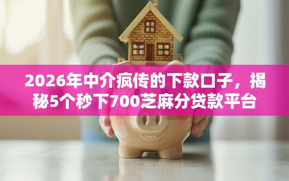 2026年中介疯传的下款口子，揭秘5个秒下700芝麻分贷款平台