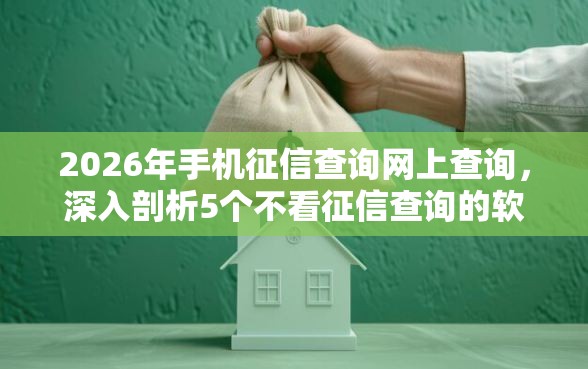 2026年手机征信查询网上查询，深入剖析5个不看征信查询的软件
