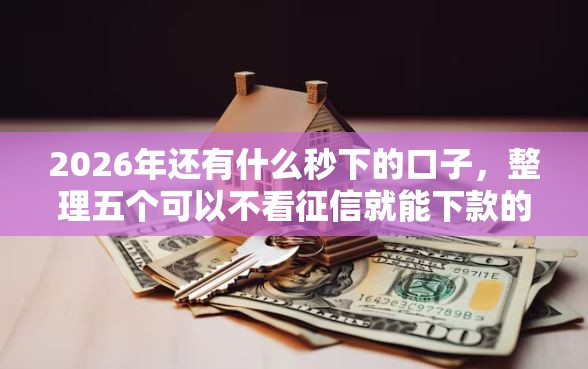 2026年还有什么秒下的口子，整理五个可以不看征信就能下款的软件
