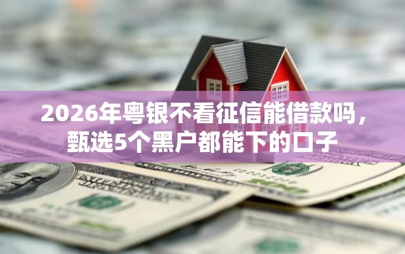 2026年粤银不看征信能借款吗，甄选5个黑户都能下的口子