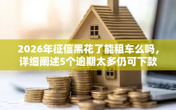 2026年征信黑花了能租车么吗，详细阐述5个逾期太多仍可下款的平台