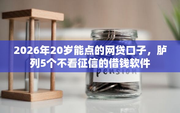 2026年20岁能点的网贷口子，胪列5个不看征信的借钱软件