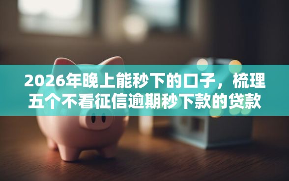 2026年晚上能秒下的口子，梳理五个不看征信逾期秒下款的贷款