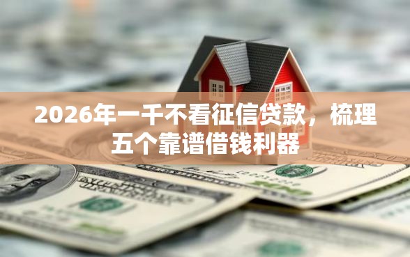 2026年一千不看征信贷款，梳理五个靠谱借钱利器