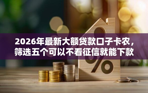 2026年最新大额贷款口子卡农，筛选五个可以不看征信就能下款的口子