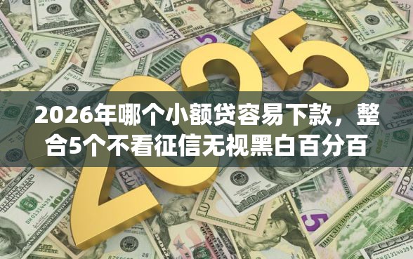 2026年哪个小额贷容易下款，整合5个不看征信无视黑白百分百下款网贷app