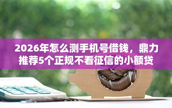 2026年怎么测手机号借钱，鼎力推荐5个正规不看征信的小额贷款软件