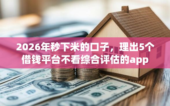2026年秒下米的口子，理出5个借钱平台不看综合评估的app