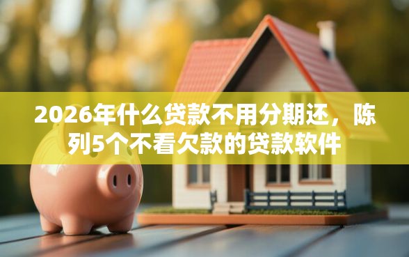 2026年什么贷款不用分期还，陈列5个不看欠款的贷款软件