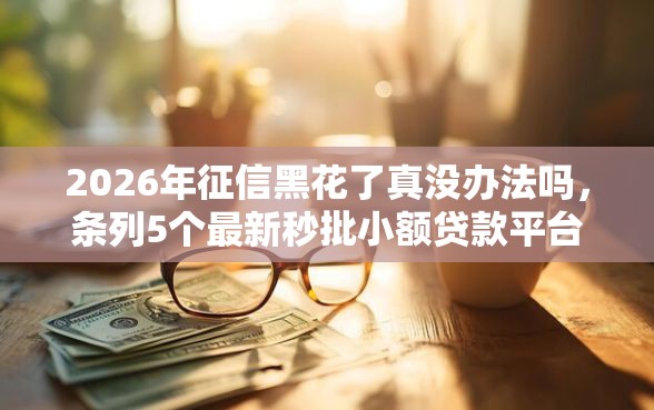 2026年征信黑花了真没办法吗，条列5个最新秒批小额贷款平台