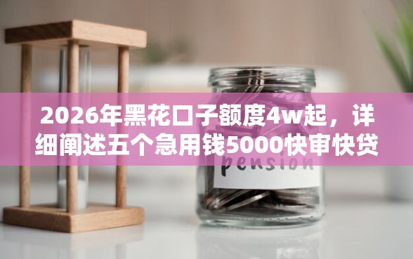 2026年黑花口子额度4w起，详细阐述五个急用钱5000快审快贷无需征信平台