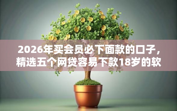2026年买会员必下面款的口子，精选五个网贷容易下款18岁的软件
