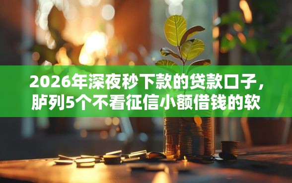 2026年深夜秒下款的贷款口子，胪列5个不看征信小额借钱的软件