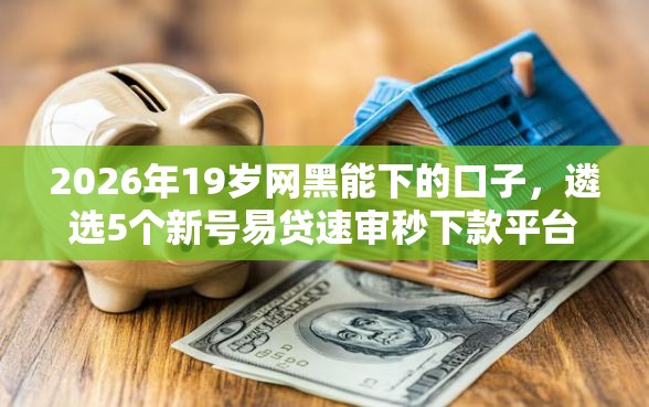 2026年19岁网黑能下的口子，遴选5个新号易贷速审秒下款平台