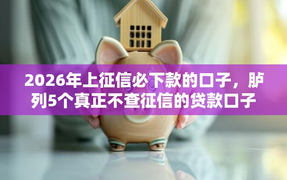2026年上征信必下款的口子，胪列5个真正不查征信的贷款口子