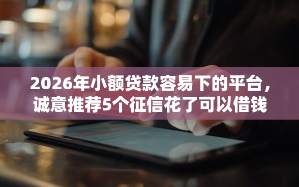 2026年小额贷款容易下的平台，诚意推荐5个征信花了可以借钱的网贷口子