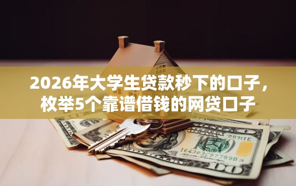 2026年大学生贷款秒下的口子，枚举5个靠谱借钱的网贷口子