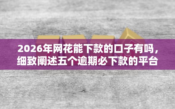 2026年网花能下款的口子有吗，细致阐述五个逾期必下款的平台