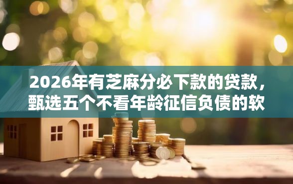 2026年有芝麻分必下款的贷款，甄选五个不看年龄征信负债的软件