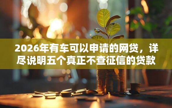 2026年有车可以申请的网贷，详尽说明五个真正不查征信的贷款平台